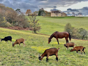 Domaine de Cazal - Chambres d'Hôtes avec piscine au cœur de 26 hectares de nature préservée